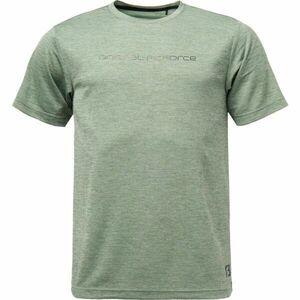 Fitforce TYLLO Férfi fitnesz póló, világoszöld, méret kép
