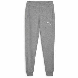 Puma TEAMGOAL 23 CASUALS PANTS Férfi edzőnadrág, szürke, méret kép