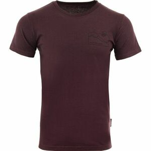 ALPINE PRO BREJ Férfi póló, bordó, méret kép