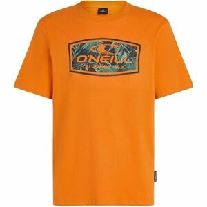 O'Neill GRAPHIC Férfi póló, narancssárga, méret kép