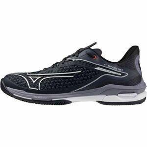 Mizuno WAVE EXCEED TOUR 6 CC Férfi teniszcipő, fekete, méret 44.5 kép