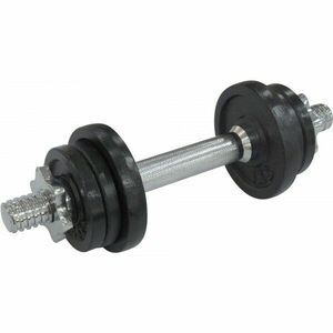 Fitforce ADBB 6 kg Egykezes súlyzó, ezüst, méret 6 KG kép