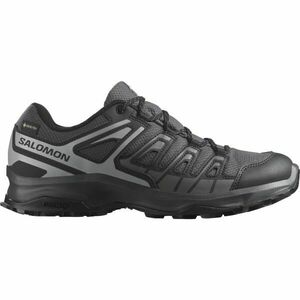 Salomon EXTEGRA GTX Férfi túracipő, sötétszürke, méret 45 1/3 kép