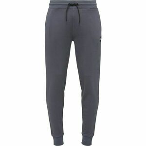 Willard MUNGI Férfi melegítőnadrág, szürke, méret kép