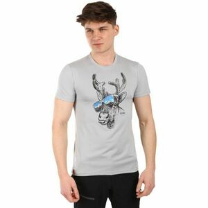 KILPI LISMAIN Férfi funkcionális póló, szürke, méret kép