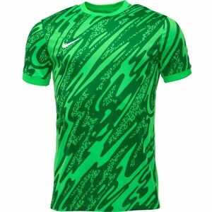 Nike DRI-FIT GARDIEN JERSEY Férfi kapus mez, sötétzöld, méret kép