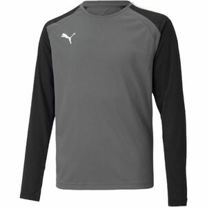 Puma TEAMGLORY JERSEY Férfi futballmez, szürke, méret kép