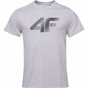 4F TSHIRT Férfi póló, szürke, méret kép