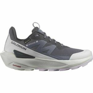Salomon ELIXIR ACTIV GTX Női túracipő, sötétszürke, méret 41 1/3 kép