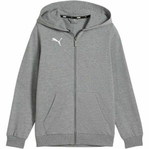 Puma TEAMGOAL CASUALS HOODED JACKET Fiú pulóver, szürke, méret kép