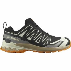 Salomon XA PRO 3D V9 GTX Férfi terepfutó cipő, fekete, méret 42 2/3 kép