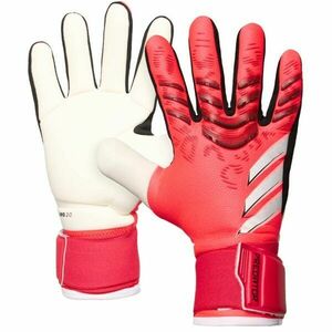 adidas PREDATOR COMPETITION Férfi kapuskesztyű, piros, méret kép