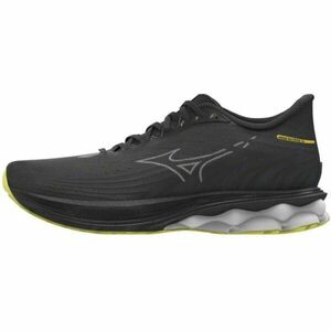 Mizuno WAVE SKYRISE 6 Férfi futócipő, fekete, méret 44.5 kép