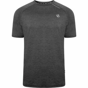 Dare2b PERSIST Férfi technikai póló, sötétszürke, méret kép