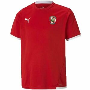 Puma TEAM LIGA JERSEY JR Férfi futballpóló, piros, méret kép