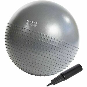 HMS YB03N 65 CM Gimnasztikai labda, szürke, méret kép