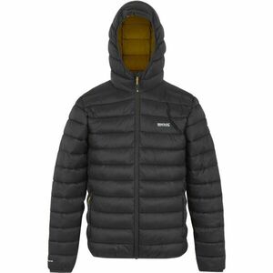 REGATTA OUTDOORS MARIZION Férfi dzseki, sötétszürke, méret kép