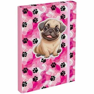 BAAGL PAWS Füzettartó box A4, rózsaszín, méret kép