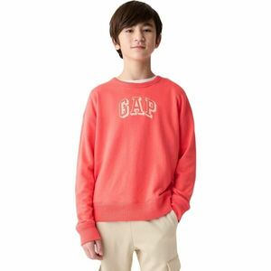 GAP V-FRCH FAM Gyerek pulóver, lazac, méret kép