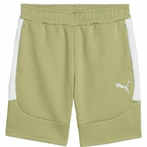 Puma TEAMEVOSTRIPE SHORTS Férfi rövidnadrág, khaki, méret kép