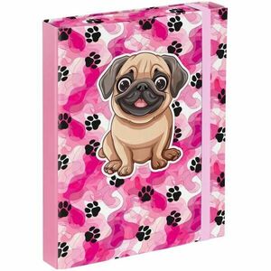 BAAGL PAWS Füzettartó box A5, rózsaszín, méret kép