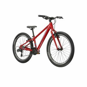 Junior kerékpár Kross LEVEL JR 1.0 24" Gen 007, előkészítés csomagtartóhoz, V-fékek, WANDA gumik, SELLE ROYAL nyereg kép