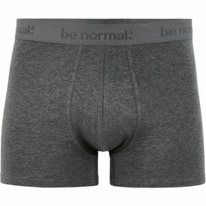 CELIO BINORMAL Férfi alsónemű, sötétszürke, méret kép