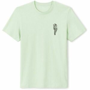 CELIO JEBEACH Férfi póló, világoszöld, méret kép