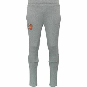 Puma TEAMEVOSTRIPE PANTS Férfi melegítőnadrág, szürke, méret kép
