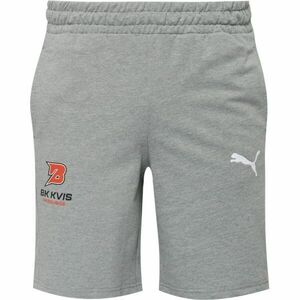 Rövidnadrág Puma teamGOAL Shorts kép