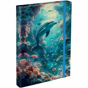 BAAGL DOLPHIN Füzettartó box A4, mix, méret kép