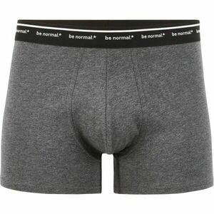 CELIO BINORMAL1 Férfi alsónemű, sötétszürke, méret kép