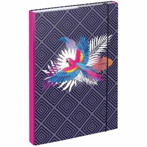 BAAGL PARROT Füzettartó box A4, mix, méret kép