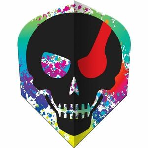 Windson DARTS TOLL SZETT Darts toll szett, fekete, méret kép