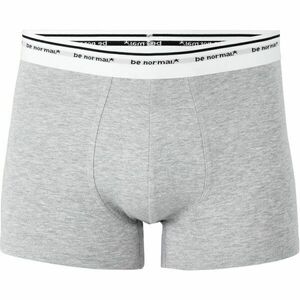 CELIO BINORMAL1 Férfi alsónemű, szürke, méret kép
