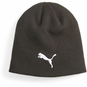 Sapka Puma individualWINTERIZED Tech Beanie kép