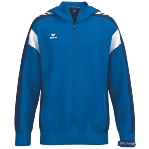 Kapucnis kabát Erima Erima Celebrate 125 Hooded Jacket Kids kép