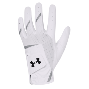 Kesztyűk Under Armour UA Youth IsoChill Golf Glove kép