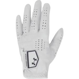 Kesztyűk Under Armour UA Tour Golf Glove kép