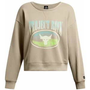 Melegítő felsők Under Armour Pjt Rck HW Terry LS Q1-BRN kép