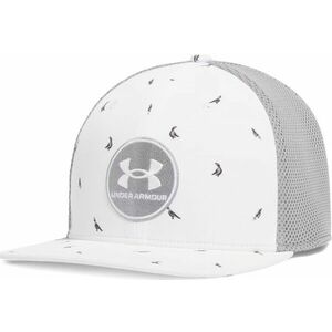 Baseball sapka Under Armour M Iso-chill Drive Low STR kép