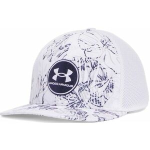Baseball sapka Under Armour M Iso-chill Drive Low STR kép
