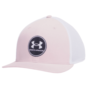 Baseball sapka Under Armour M Iso-chill Drive Low STR kép