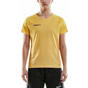 Póló Craft PRO CONTROL STRIPE JERSEY W kép