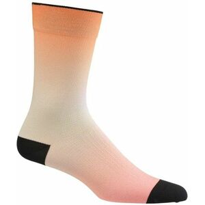 Zoknik Craft Craft Adv Endur Graphic Socks kép