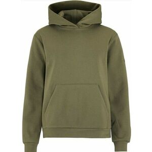 Kapucnis melegítő felsők Craft Community 2.0 Hoodie W kép