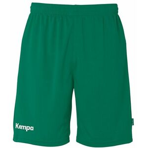 Rövidnadrág Kempa Team Shorts kép