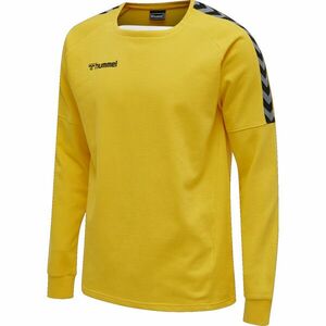 Melegítő felsők Hummel AUTHENTIC TRAINING SWEAT kép