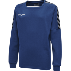 Melegítő felsők Hummel AUTHENTIC KIDS TRAINING SWEAT kép