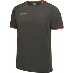 Rövid ujjú póló Hummel AUTHENTIC TRAINING TEE kép